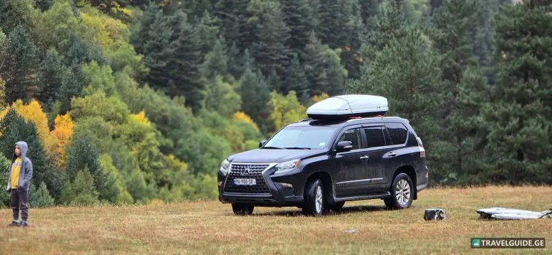Lexus · GX460 - 1776361511534