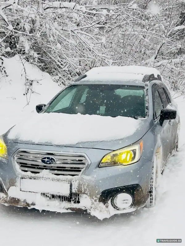 Subaru · Outback - 1776113148927