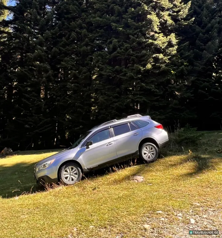 Subaru · Outback - 1776113151082
