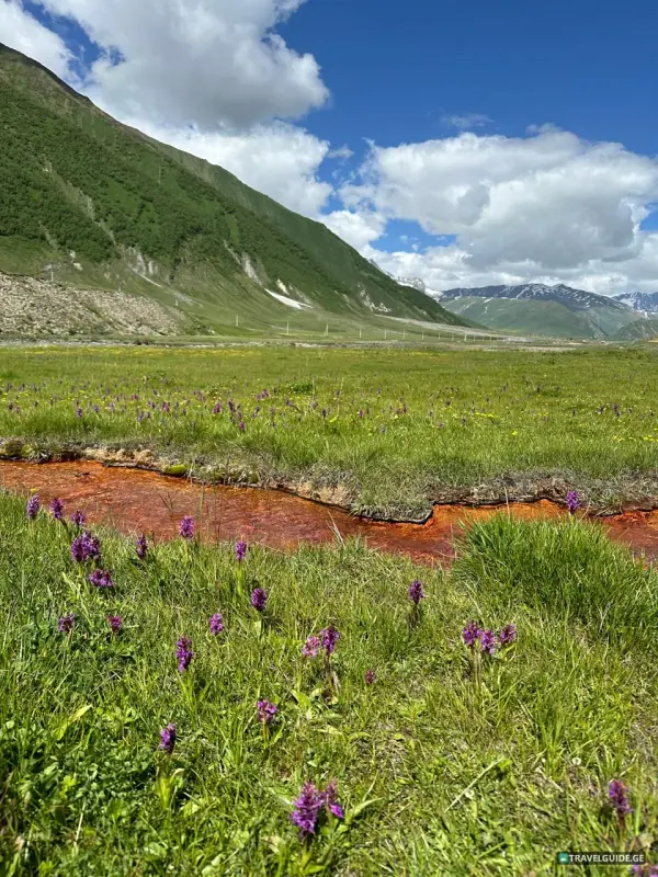 2-day tour to Kazbegi ( Truso valley, Gveleti waterfall) - 41