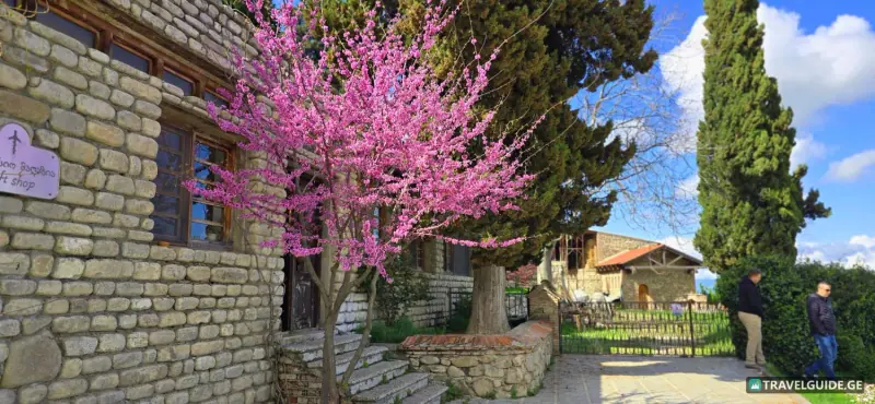 Day trip to Kakheti, free wine tasting and city of Love - 1