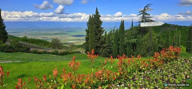 Day trip to Kakheti, free wine tasting and city of Love