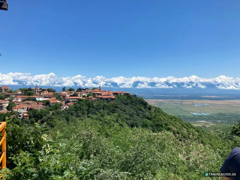 Day tour Kakheti wine region - 3