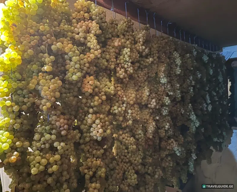 Day tour Kakheti wine region
