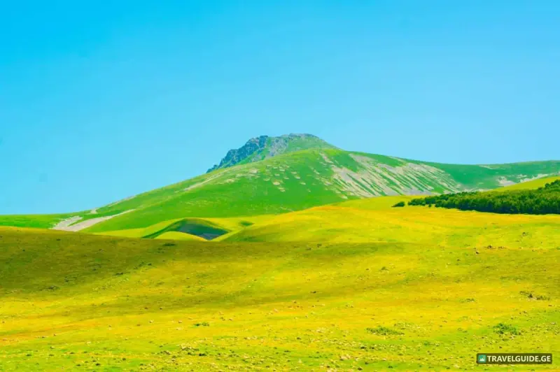One day tour: Tsalka canyon and Didgori