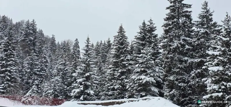 Бакуриани - 1