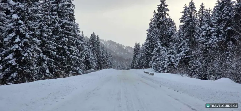 Бакуриани