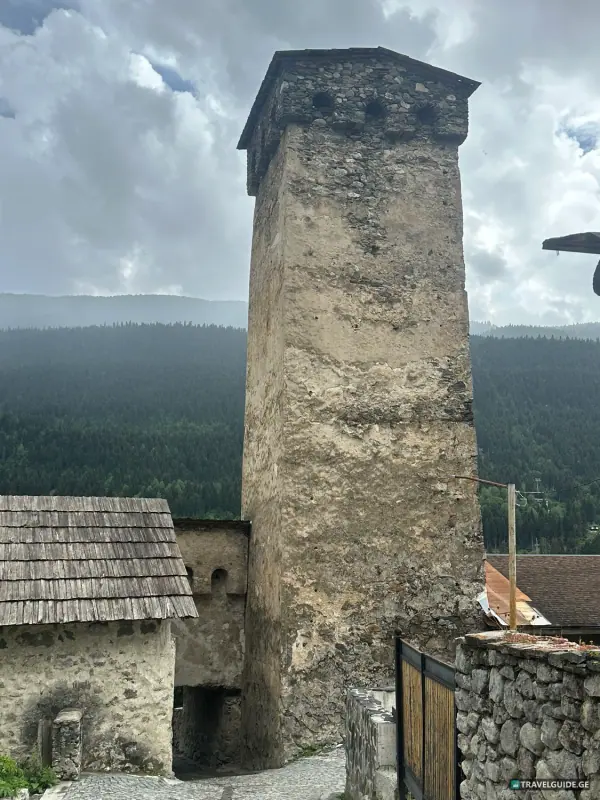 მესტია - 19
