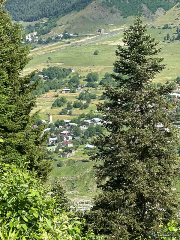 Zhamushi